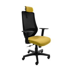 Aegis Ergonomic Chair