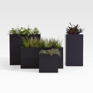 Box Planters
