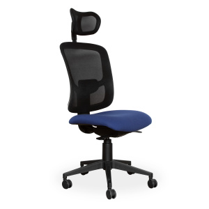 Pinto Ergonomic Chair