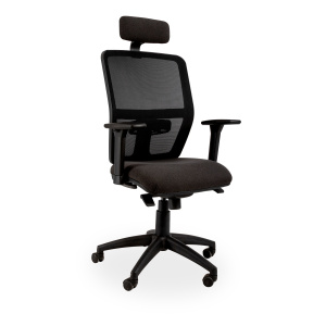 Sienna Ergonomic Chair